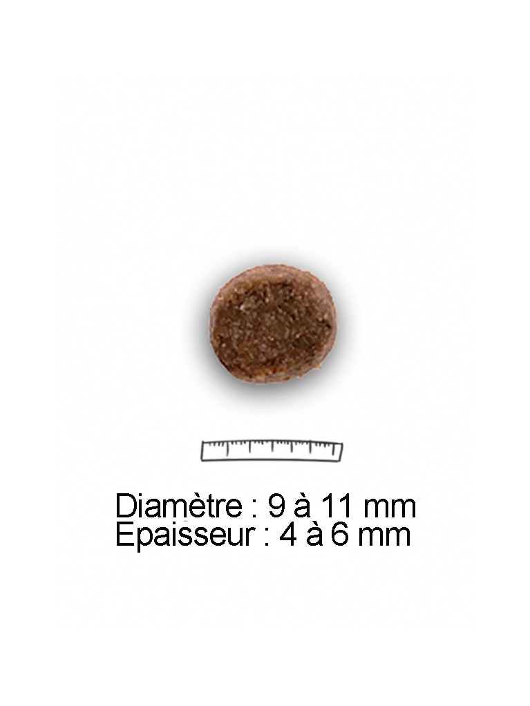 Croquettes chiot 30/19 saumon 15kg Nature Dog
