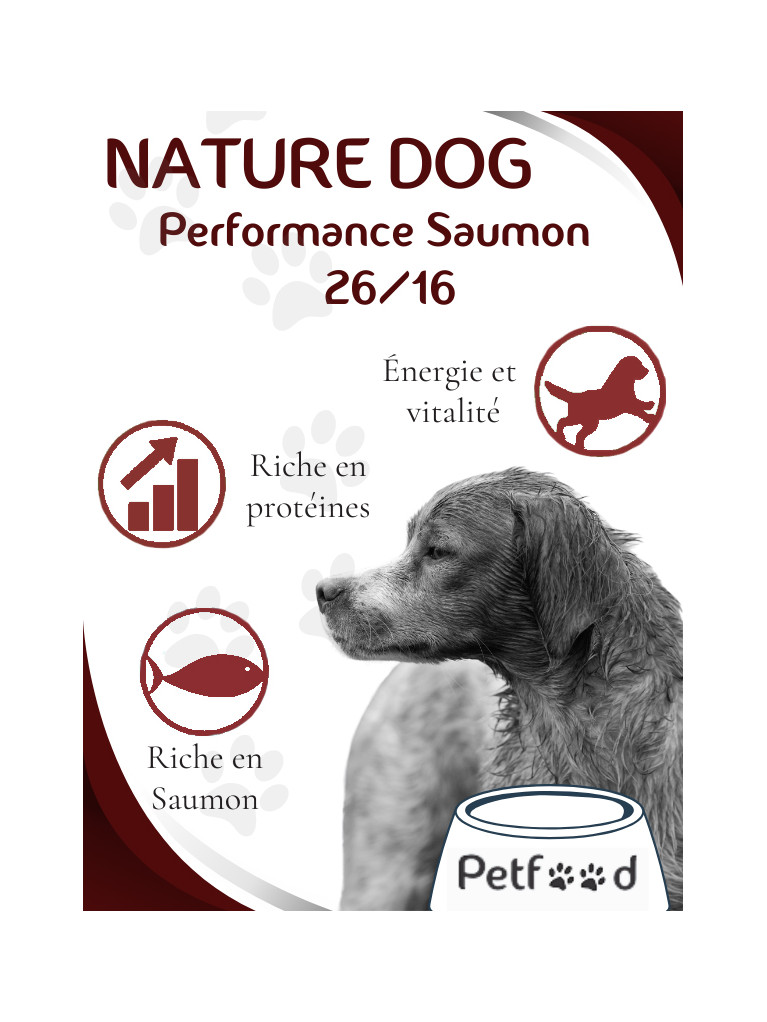 Croquettes Performance 26/16 Saumon Nature Dog 15kg