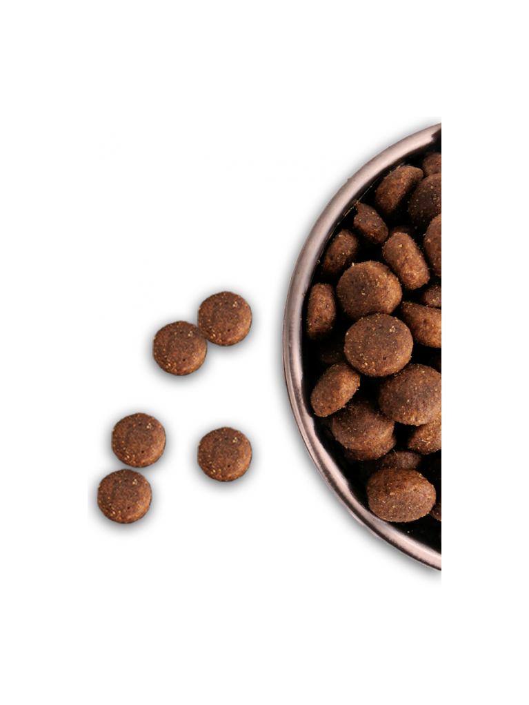 Croquettes Performance 26/16 Agneau Nature Dog 15kg