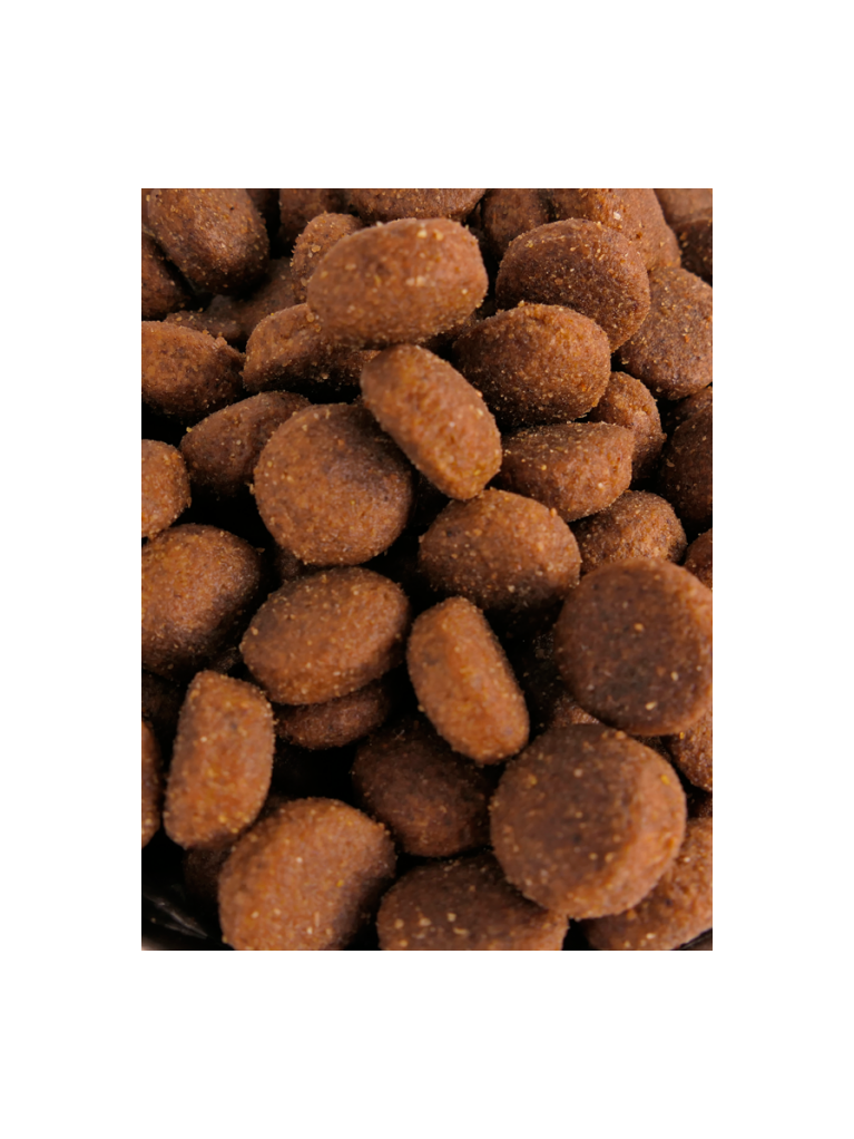Croquettes Performance 26/16 Agneau Nature Dog 15kg
