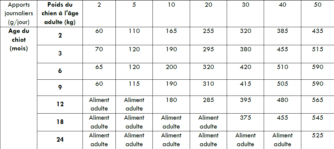 Rations journalières chiot